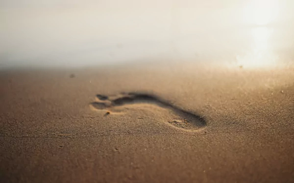 footprint nature beach HD Desktop Wallpaper | Background Image