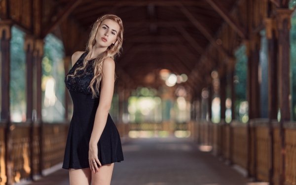 Women Model Blonde Black Dress Depth Of Field HD Wallpaper | Background Image