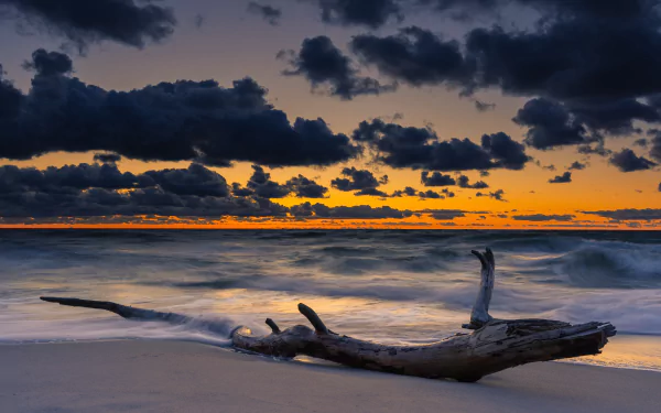 8K Ultra HD desktop wallpaper featuring a serene ocean horizon at sunset, with dramatic clouds and driftwood on the sandy shore showcasing nature’s beauty.