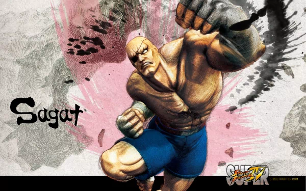 video game Super Street Fighter IV HD Desktop Wallpaper | Background Image