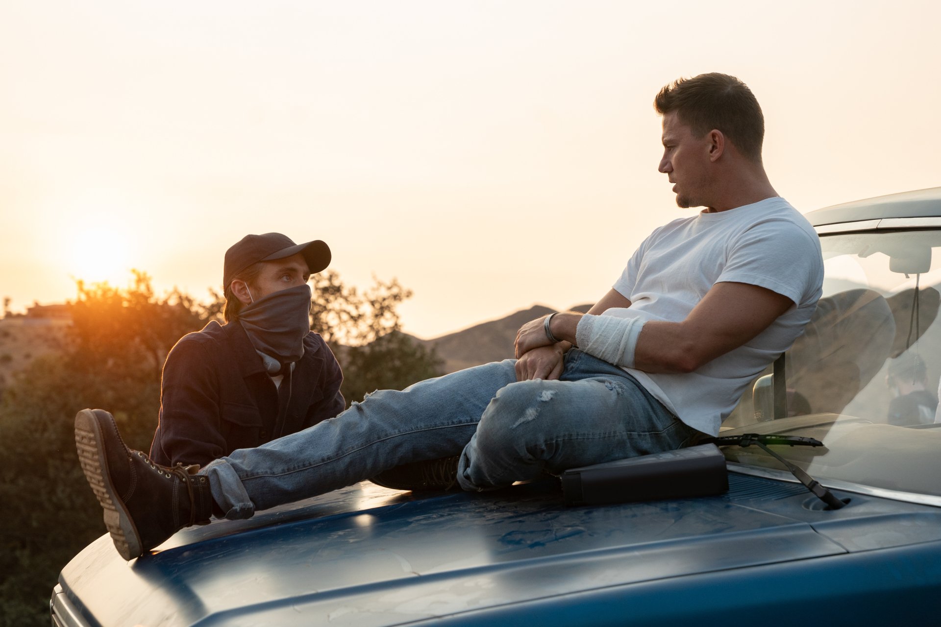 Download Channing Tatum Movie Dog 4k Ultra HD Wallpaper