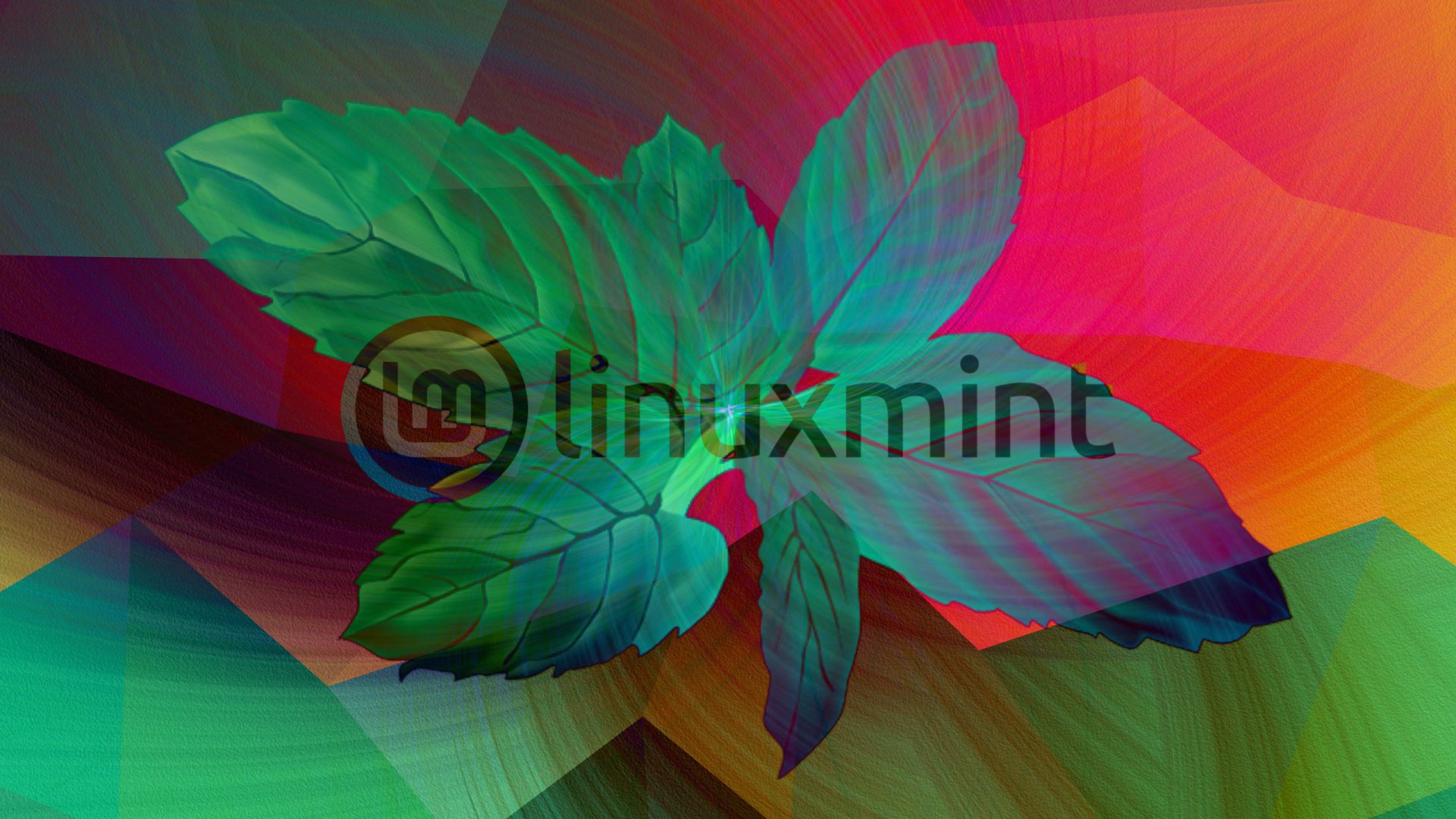 Download Linux Technology Linux Mint HD Wallpaper by CtrlAltDel