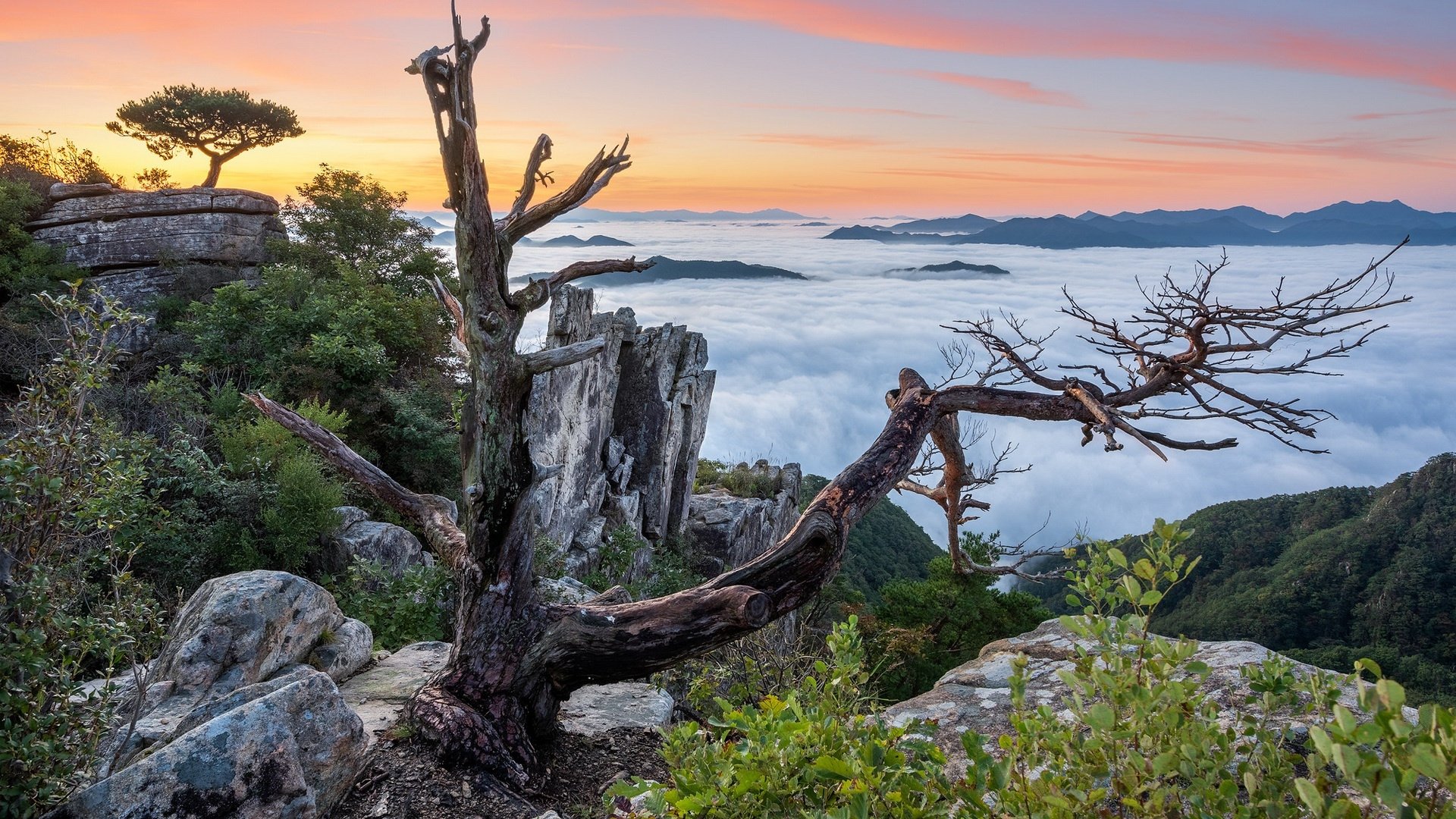Download Sea Of Clouds Nature Fog HD Wallpaper