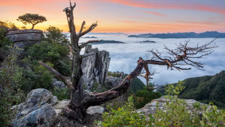 sea of clouds nature fog HD Desktop Wallpaper | Background Image