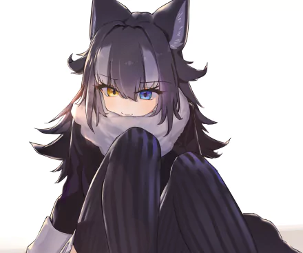 heterochromia Grey Wolf (Kemono Friends) Anime Kemono Friends HD Desktop Wallpaper | Background Image