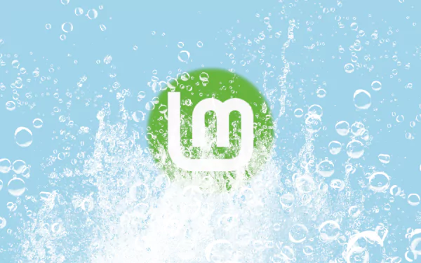 Linux technology linux mint HD Desktop Wallpaper | Background Image