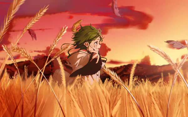Sylphiette from Mushoku Tensei: Jobless Reincarnation stands in a golden wheat field at sunset, captured in a vibrant 4K Ultra HD anime desktop wallpaper.