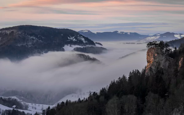 fog nature valley HD Desktop Wallpaper | Background Image