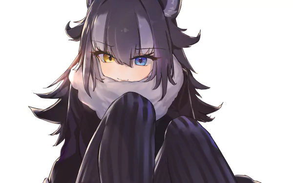 heterochromia Grey Wolf (Kemono Friends) Anime Kemono Friends HD Desktop Wallpaper | Background Image