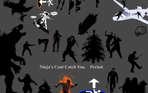 funny ninja HD Desktop Wallpaper | Background Image