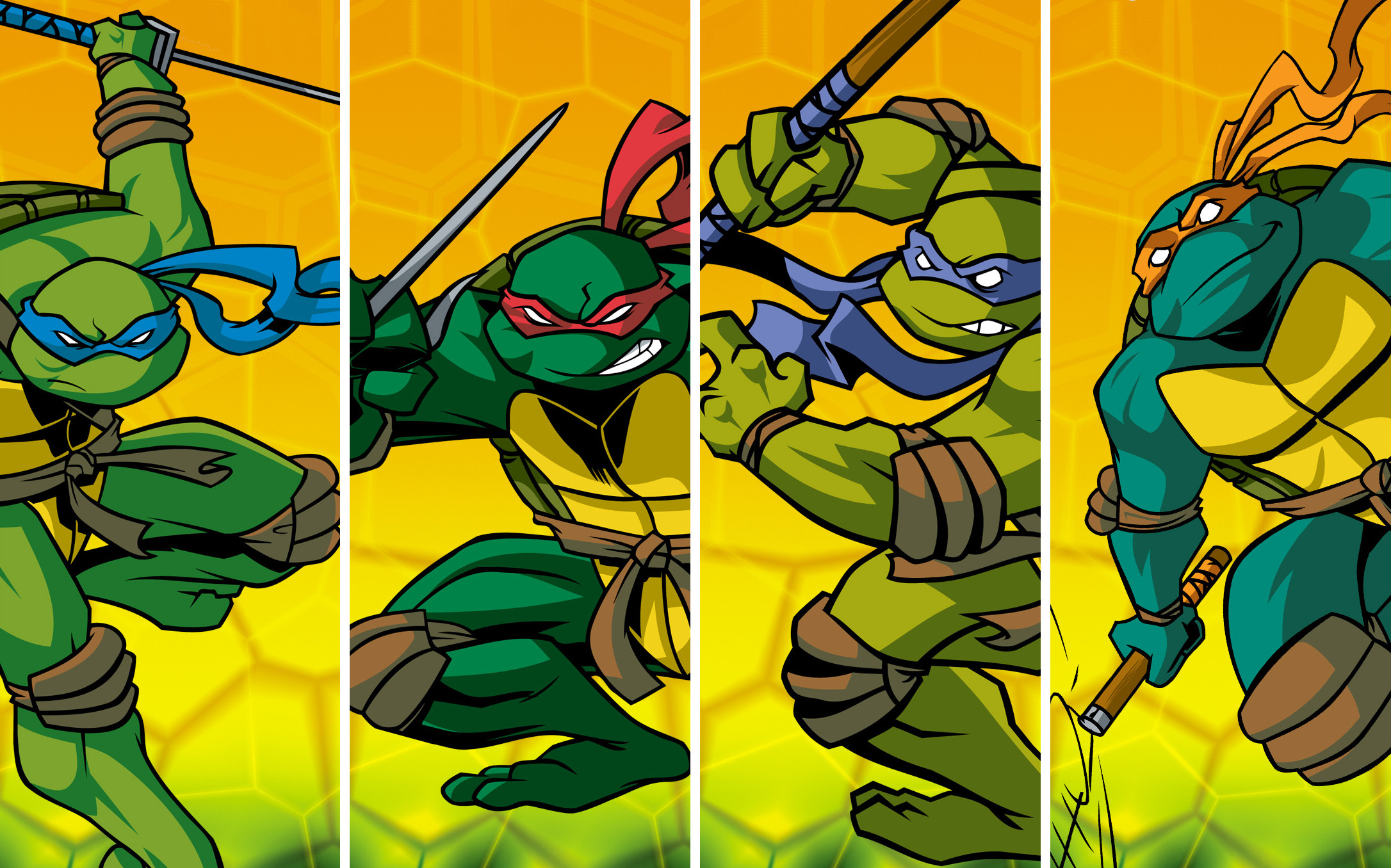 TV Show Teenage Mutant Ninja Turtles (2003) HD Wallpaper Background Image. 