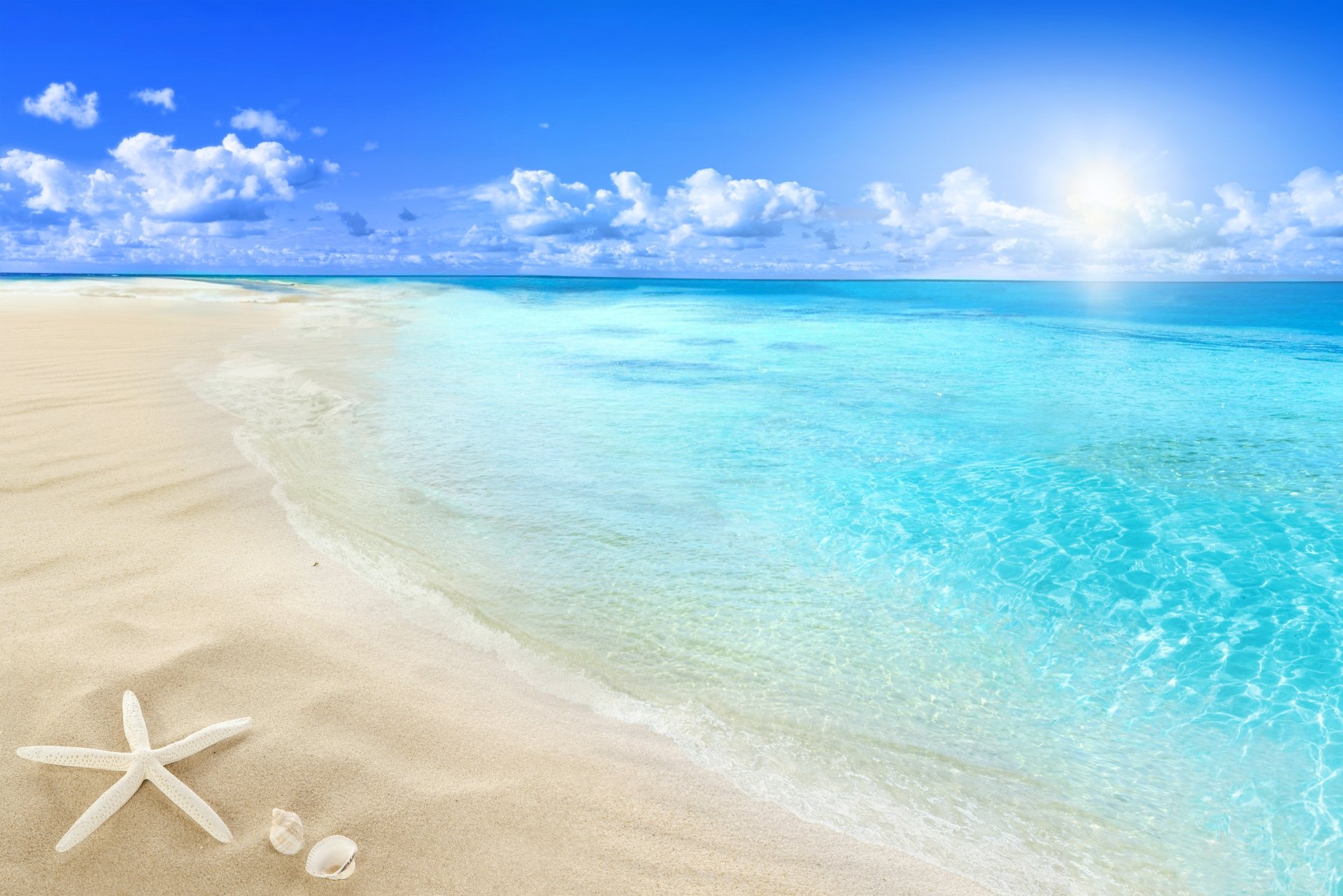 4K Ultra HD wallpaper of a serene ocean horizon with clear turquoise water, a sandy beach, and a starfish resting on the shore under a bright, partly cloudy sky.