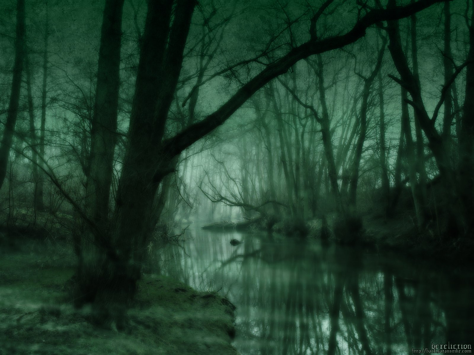 A dark, atmospheric forest scene with trees and a tranquil stream, creating a serene yet mysterious backdrop, designed as HD PC desktop wallpaper and background.