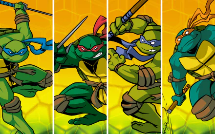 Michelangelo (TMNT) Donatello (TMNT) Raphael (TMNT) Leonardo (TMNT) TV Show Teenage Mutant Ninja Turtles (2003) HD Desktop Wallpaper | Background Image
