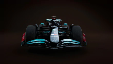  Mercedes-AMG F1 Team 2022 Formula One World Championship