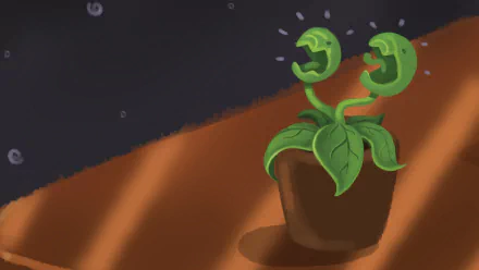  Fornimula Alcolohide