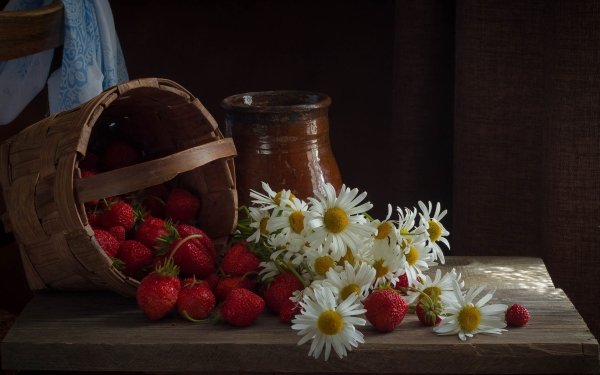 Photography Still Life Chamomile Strawberry HD Wallpaper | Background Image
