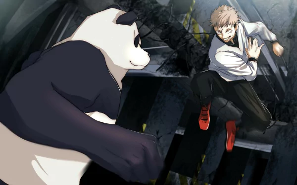 Yuji Itadori Panda (Jujutsu Kaisen) Anime Jujutsu Kaisen HD Desktop Wallpaper | Background Image