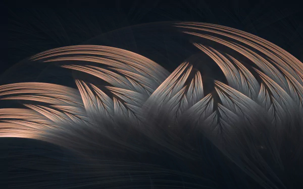 Abstract shapes with flowing, feather-like strokes in soft gold against a dark background, designed as a 4K Ultra HD PC desktop wallpaper and background.
