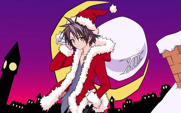 Anime Black Cat (Anime) HD Desktop Wallpaper | Background Image