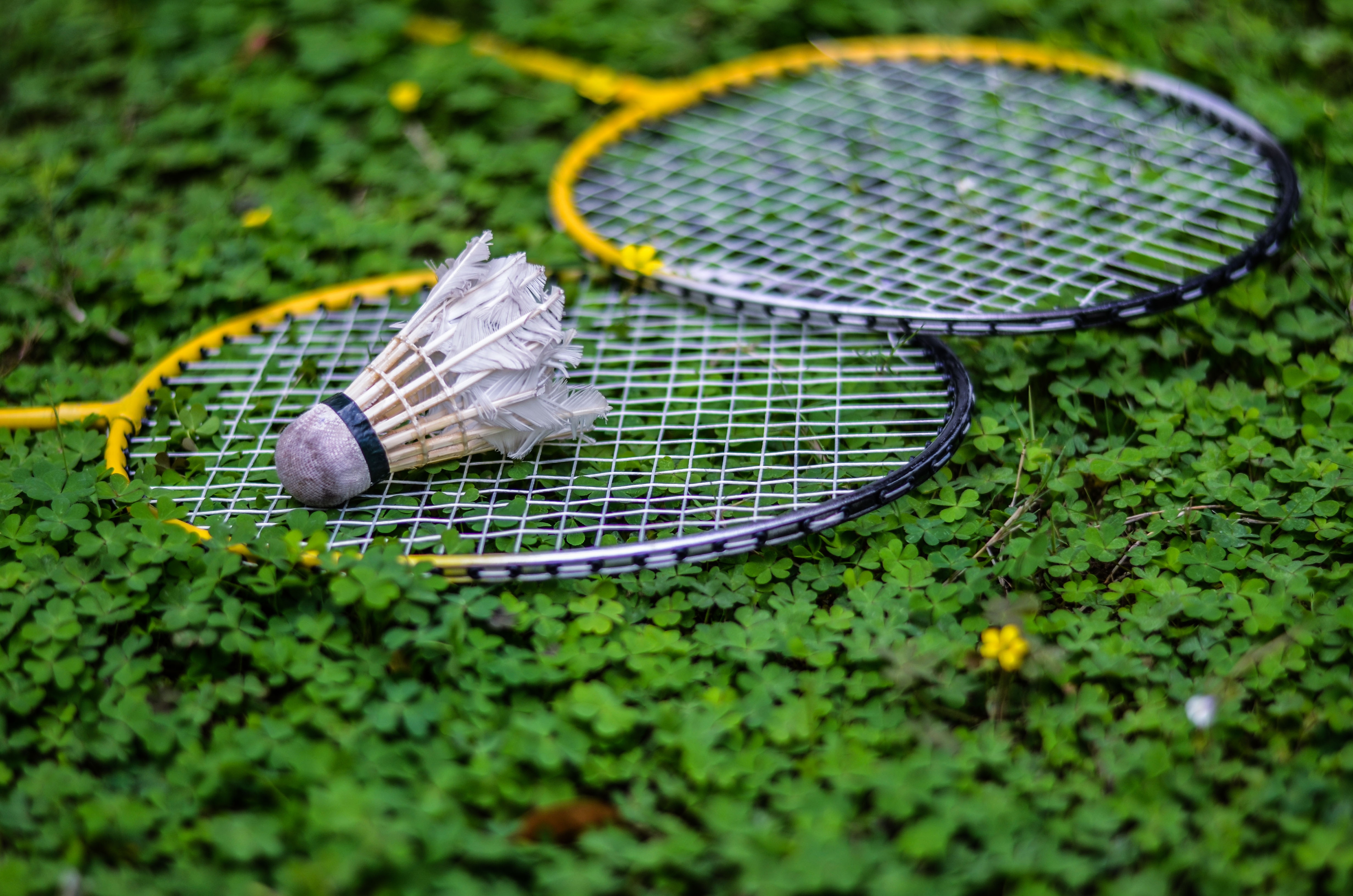 10+ Badminton HD Wallpapers and Backgrounds