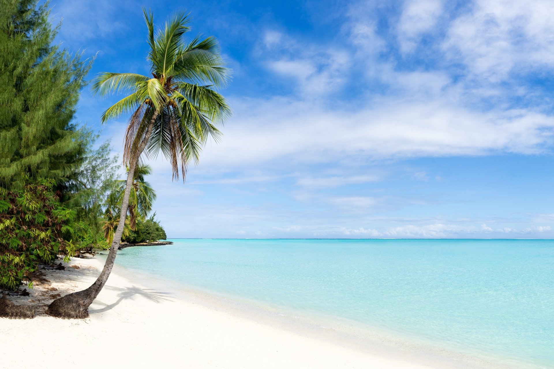 Download Horizon Ocean Tropical Nature Beach Tropical Beach HD Wallpaper
