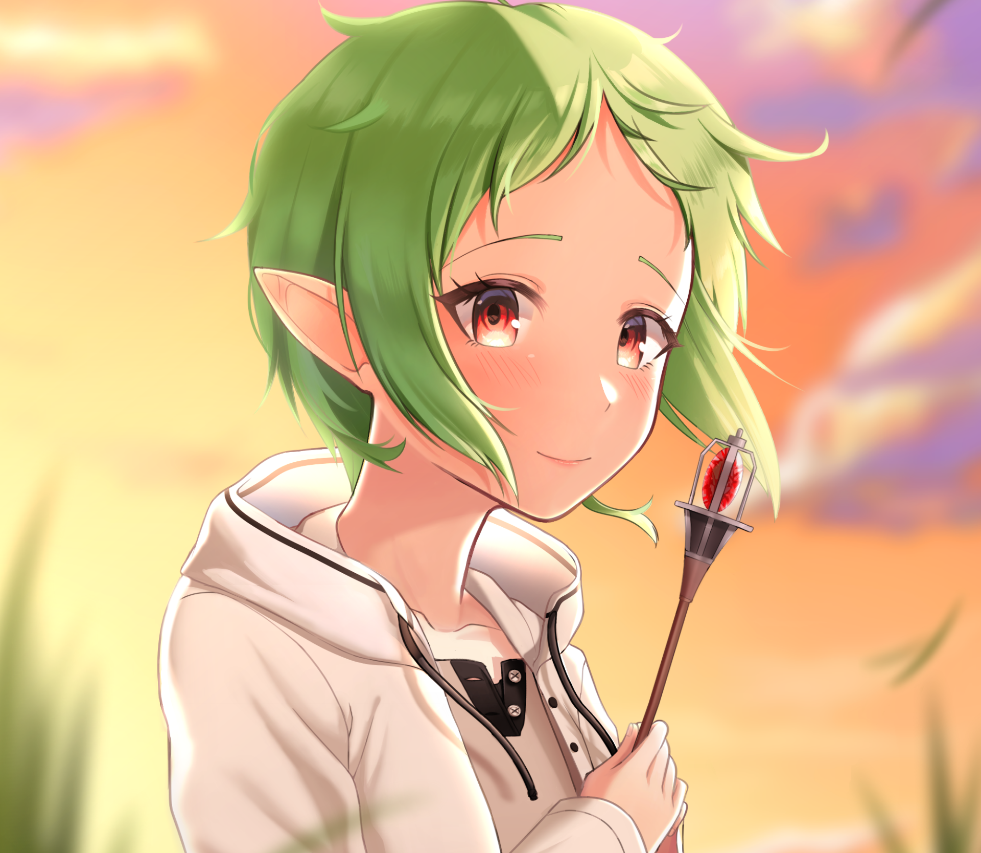 Sylphiette (Mushoku Tensei: Jobless Reincarnation) — green-haired elf girl smiling, holding a small torch against a warm sunset; HD PC desktop anime wallpaper/background.