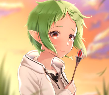 Sylphiette (Mushoku Tensei: Jobless Reincarnation) — green-haired elf girl smiling, holding a small torch against a warm sunset; HD PC desktop anime wallpaper/background.