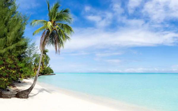 horizon ocean tropical nature beach tropical beach HD Desktop Wallpaper | Background Image