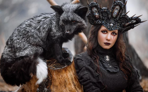 headdress Silver Fox (Animal) woman model HD Desktop Wallpaper | Background Image