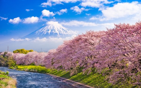 Earth Mount Fuji Volcanoes Japan HD Wallpaper | Background Image