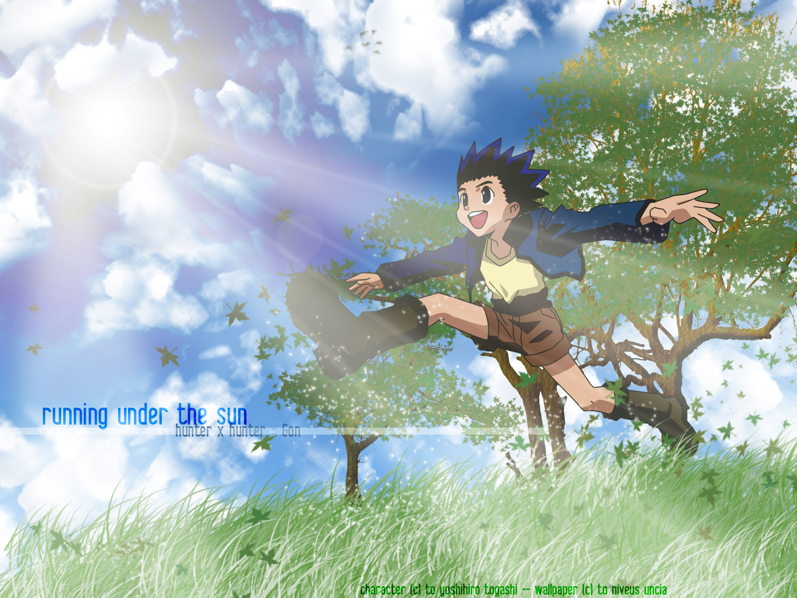 Gon Freecss from anime Hunter x Hunter, portrayed in a captivating desktop wallpaper.