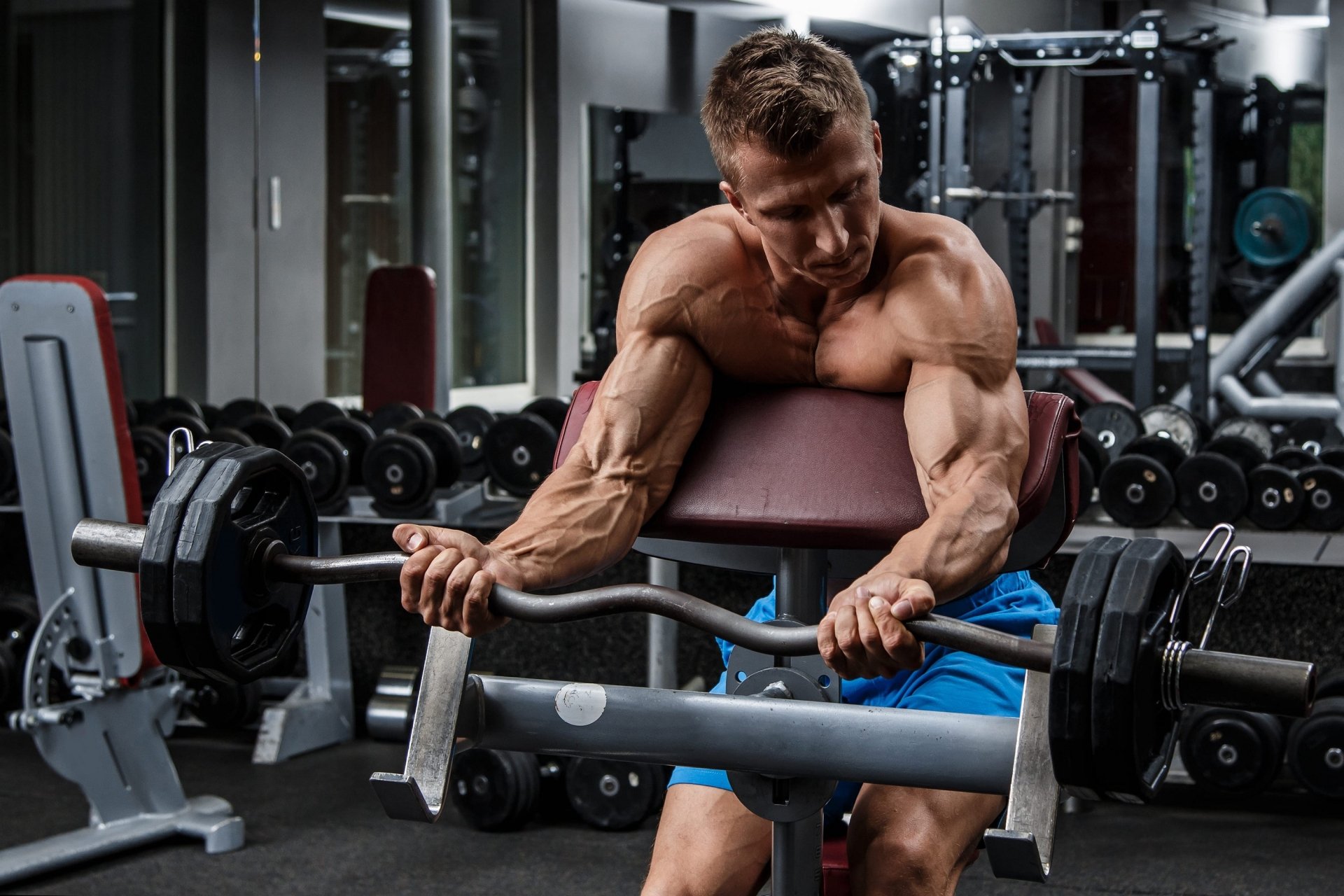 Download Muscle Gym Bodybuilding Sports HD Wallpaper
