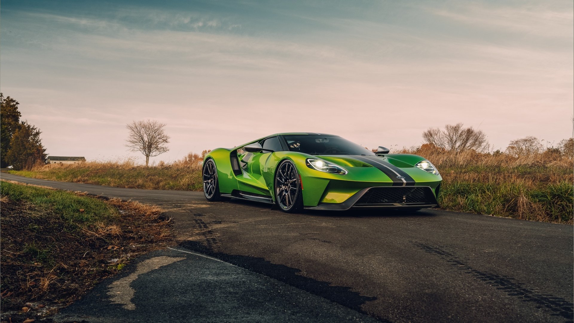 Download Vehicle Ford GT HD Wallpaper