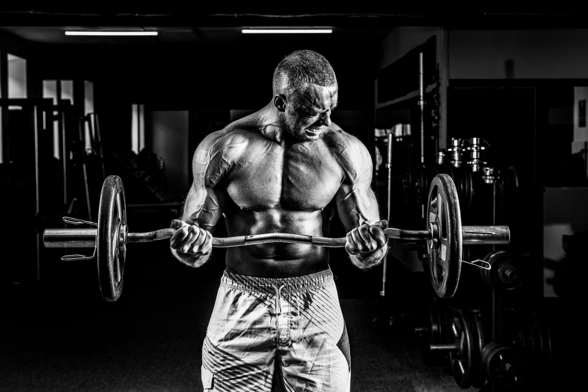Download Muscle Bodybuilding Sports HD Wallpaper