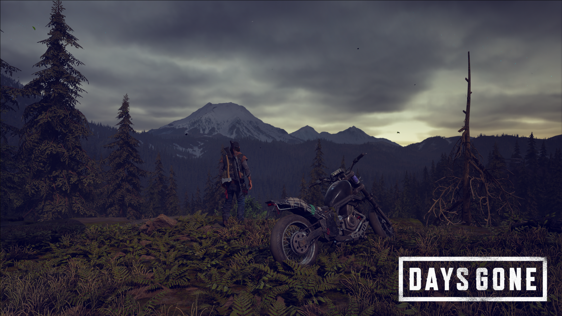 Days gone фон