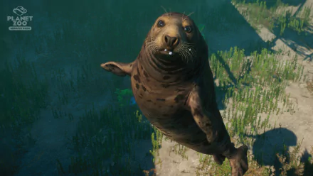 video game Planet Zoo HD Desktop Wallpaper | Background Image