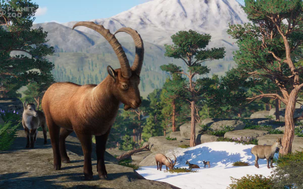 video game Planet Zoo HD Desktop Wallpaper | Background Image