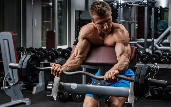 muscle gym bodybuilding Sports HD Desktop Wallpaper | Background Image