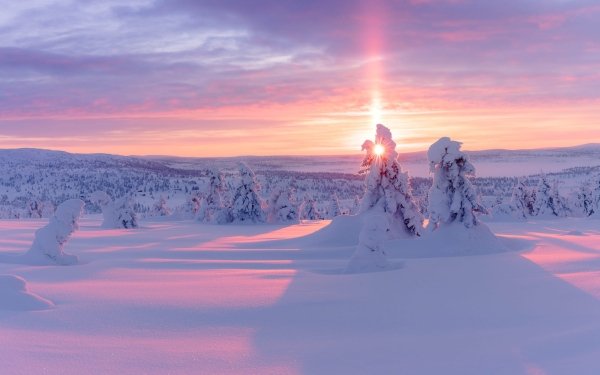 Nature Winter HD Wallpaper | Background Image