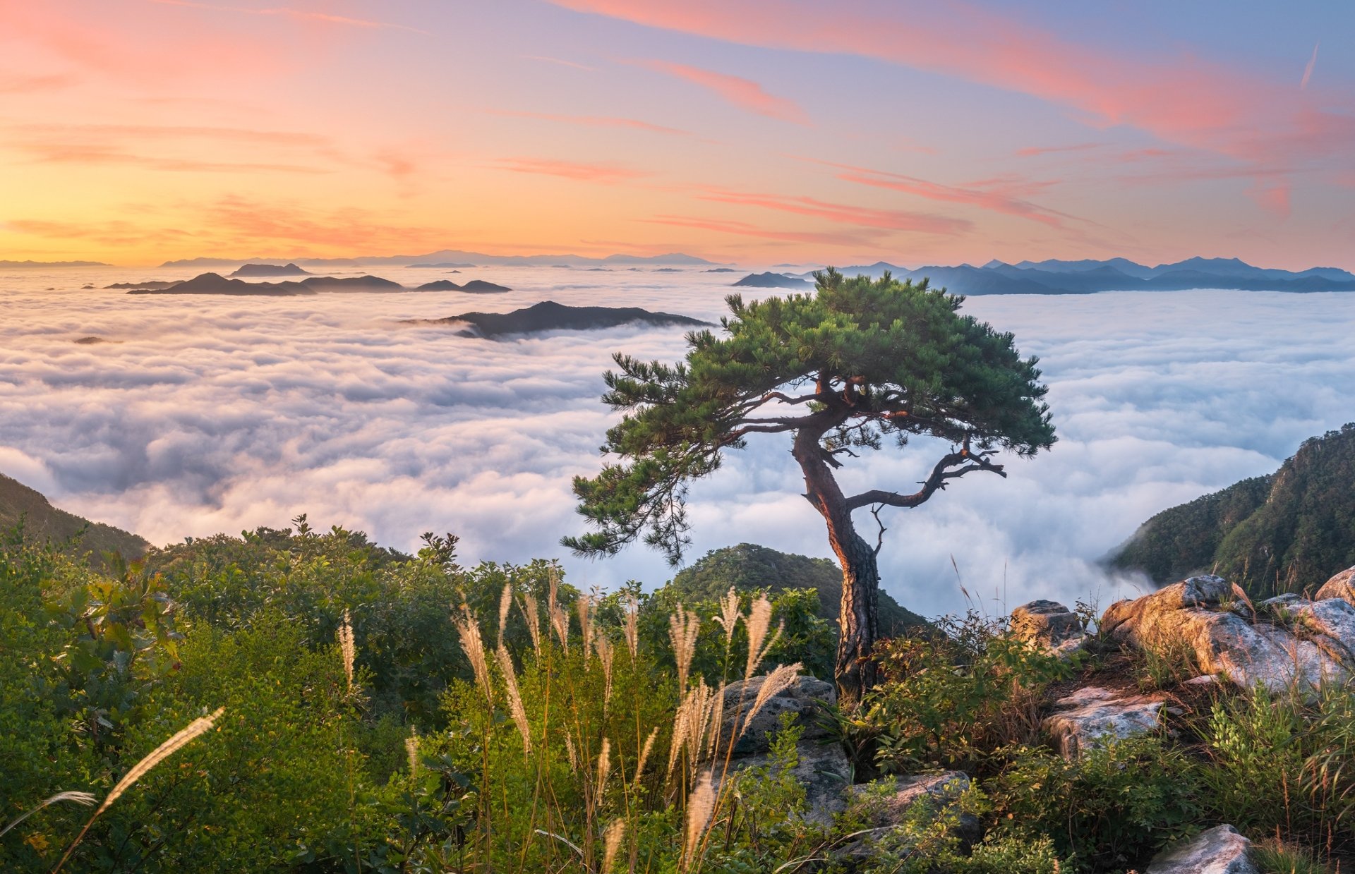 Download Sea Of Clouds South Korea Nature Landscape HD Wallpaper