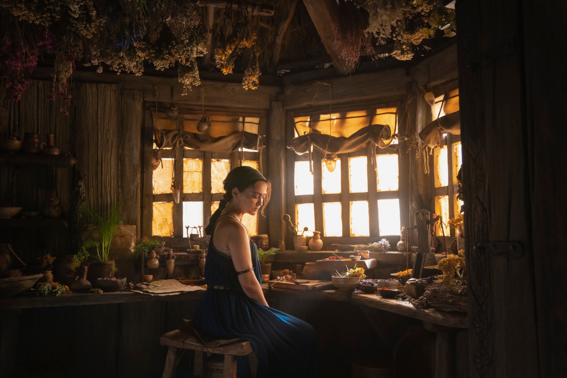 Download Bronwyn (LOTR) Nazanin Boniadi TV Show The Lord Of The Rings: The Rings Of Power HD Wallpaper