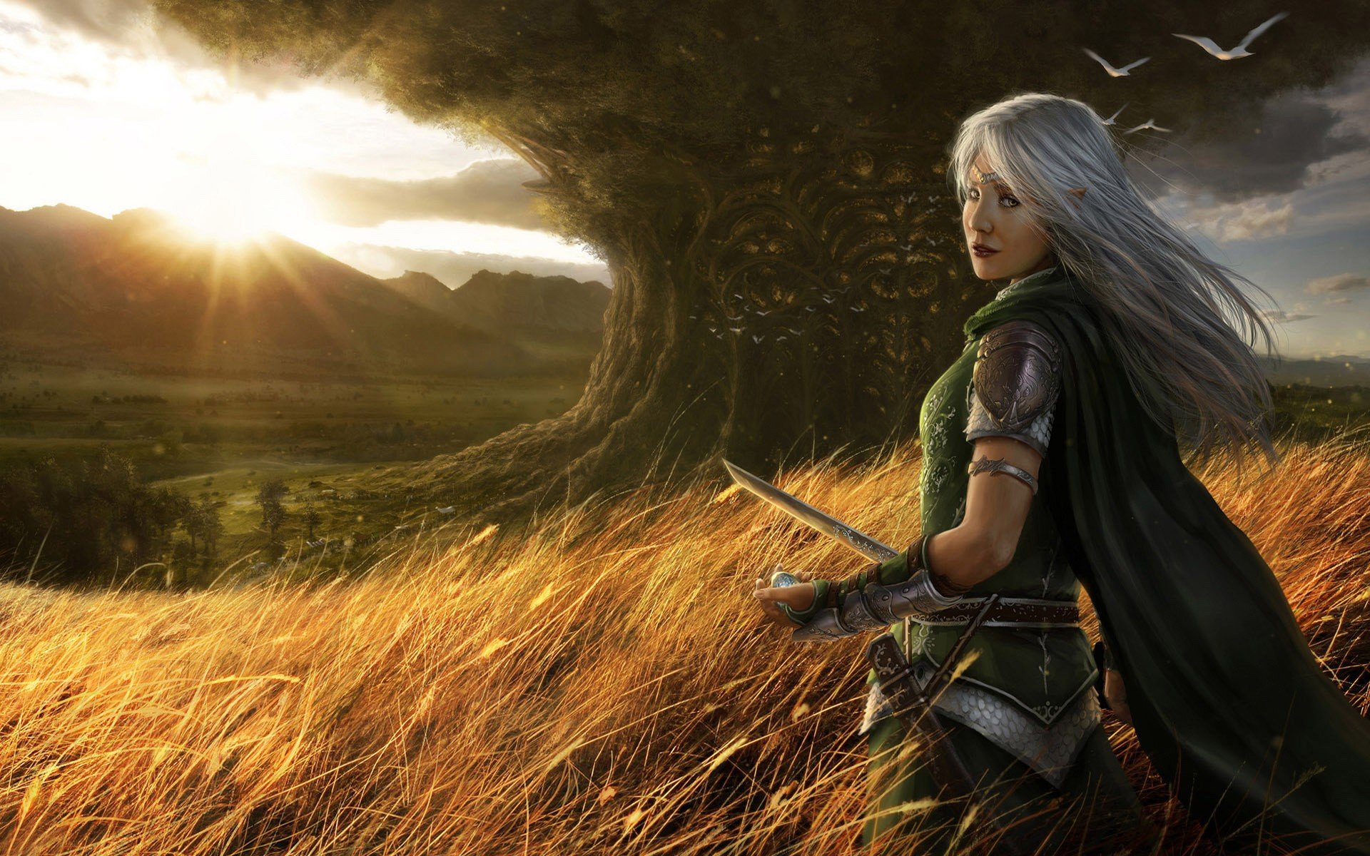 HD fantasy desktop wallpaper featuring a silver-haired woman warrior standing in a golden field with a glowing sunset and a large, ancient tree in the background.