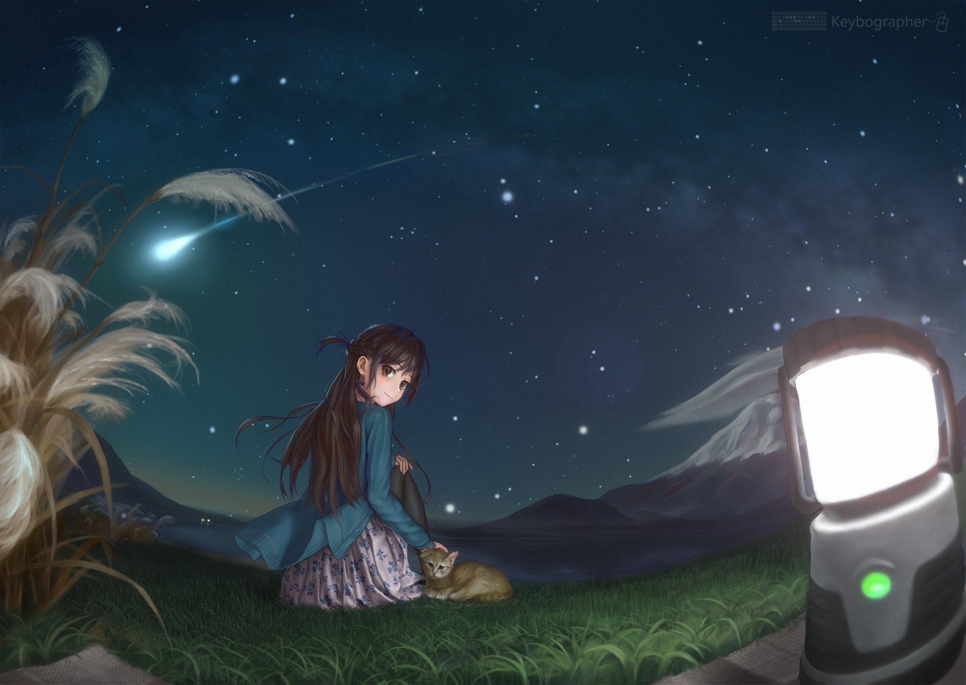 Chizuru Ichinose (Anime, Rent-A-Girlfriend) sits on a grassy hill with a cat beneath a starry sky and shooting star, soft lantern glow in the foreground — 4K Ultra HD PC desktop wallpaper/background.
