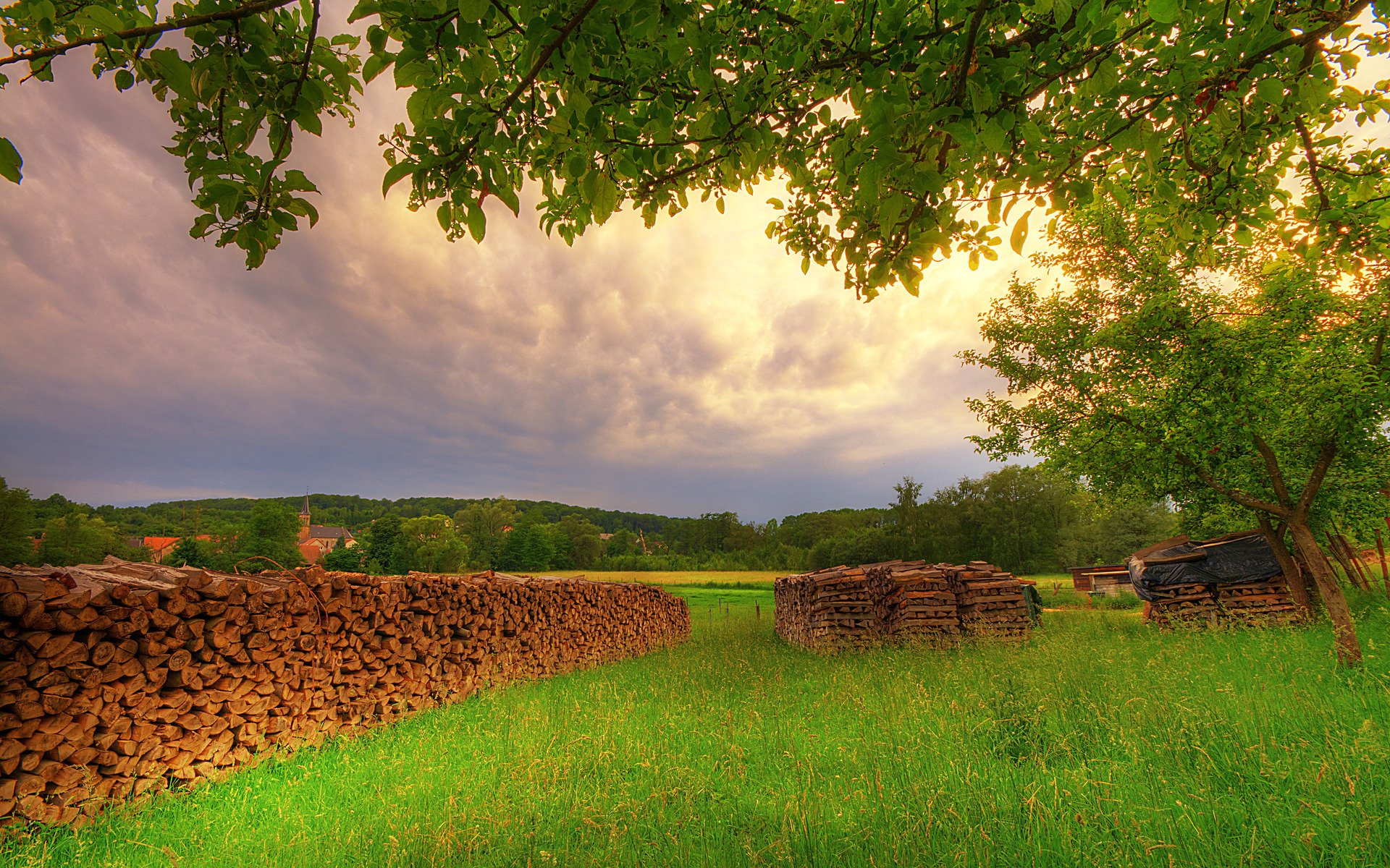 Nature landscape HD PC desktop wallpaper and background: sunlit meadow with stacked firewood rows, overhanging tree canopy and a golden sunset sky.