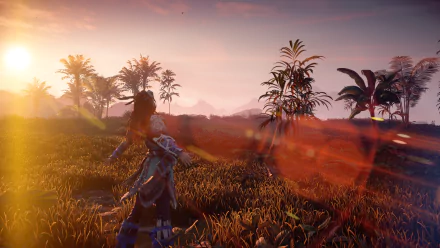  Horizon Zerdo Dawn