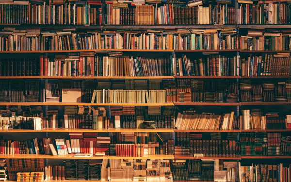 man made bookshelf HD Desktop Wallpaper | Background Image