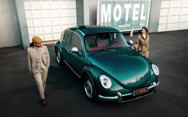 vehicle Ora Punk Cat HD Desktop Wallpaper | Background Image