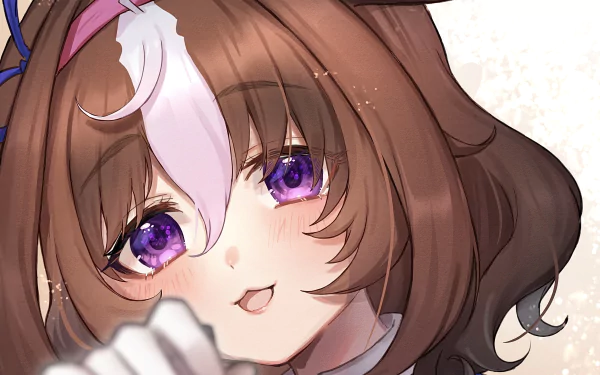 Meisho Doto Anime Uma Musume: Pretty Derby HD Desktop Wallpaper | Background Image