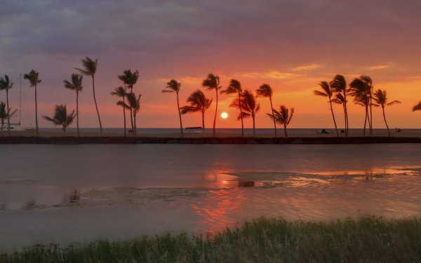 140+ Tropical HD Wallpapers | Background Images